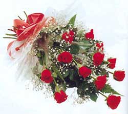 12 red roses